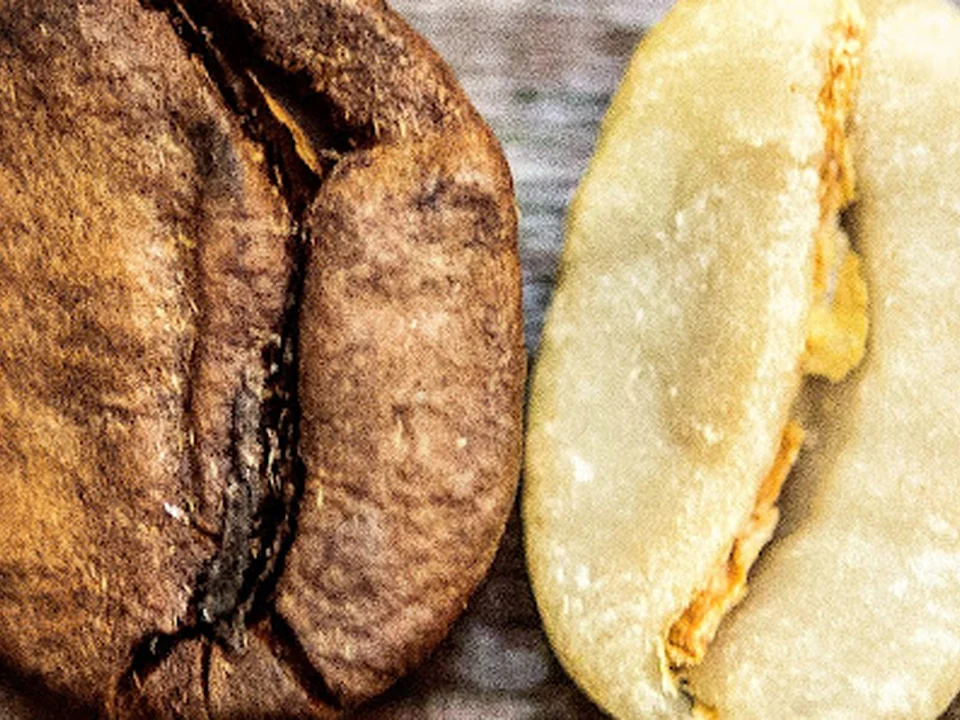 Aliena Coffee Roasters