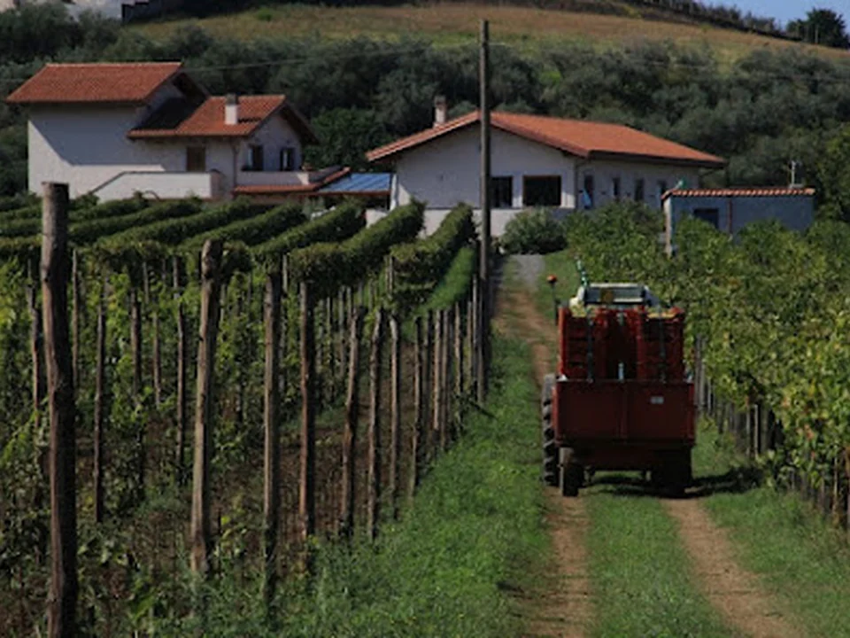 Azienda Biologica De Sanctis