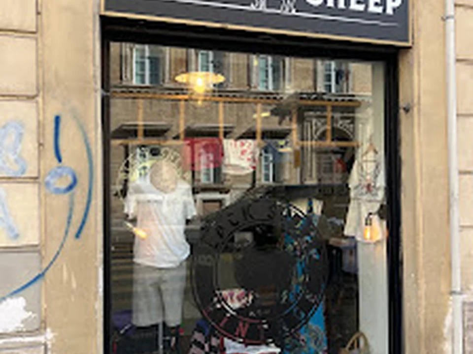 Black Sheep Vintage Store