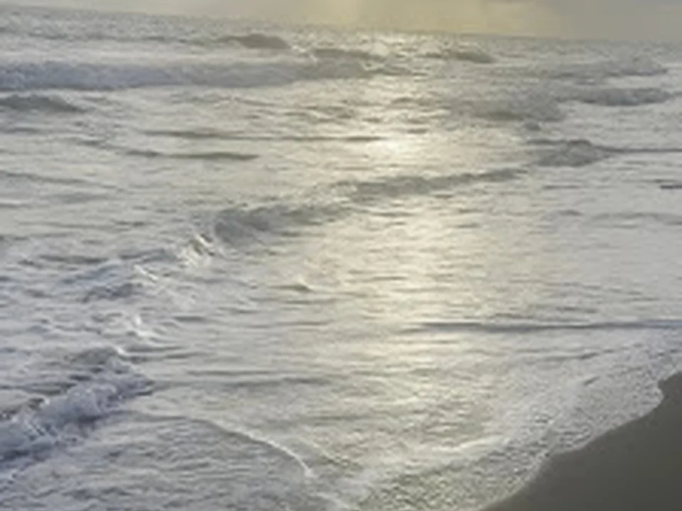 Capocotta Beach