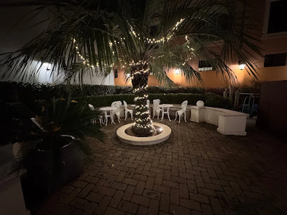 Palm Suite