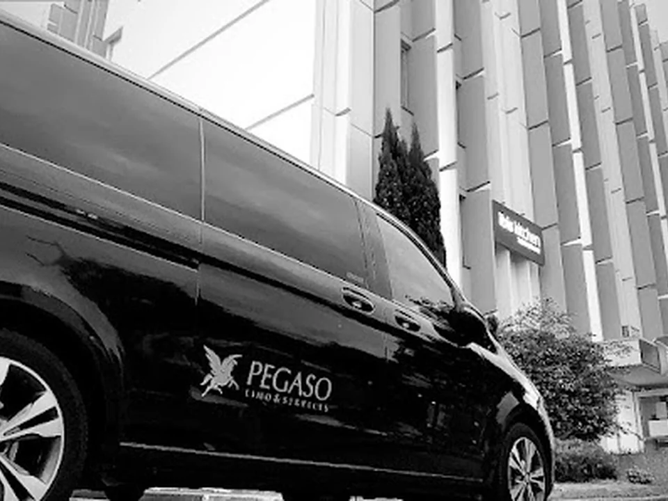 Pegaso Limo&Services