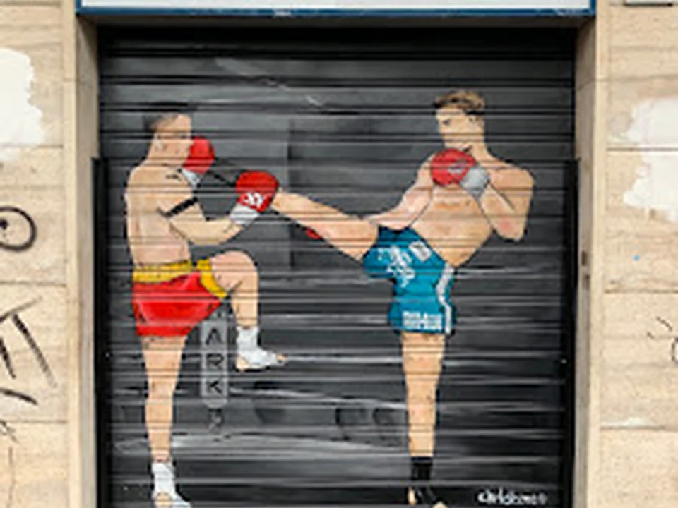 Shark Fight Store