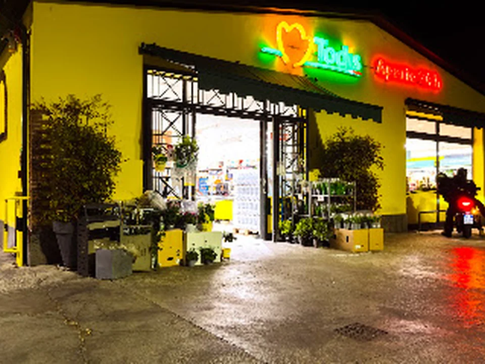 Todis - Supermarket (Rome - Tuscolana - station)