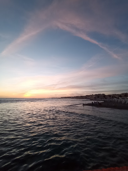 Spiaggia libera S.P.Q.R.