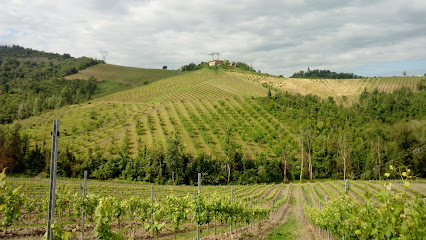 Az. Agr. Ca' Beltrami Di Vincenzi Milos