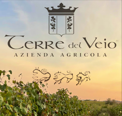 Azienda Vitivinicola Terre del Veio