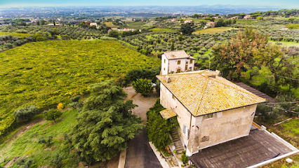 Old Frascati Food & Wine Tours