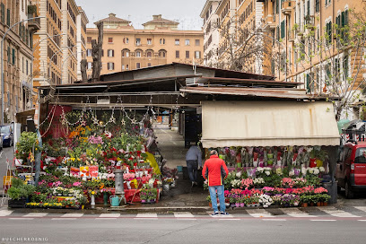 Mercato di via Orvieto