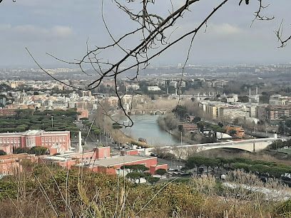 Veduta dal parco di Monte Mario